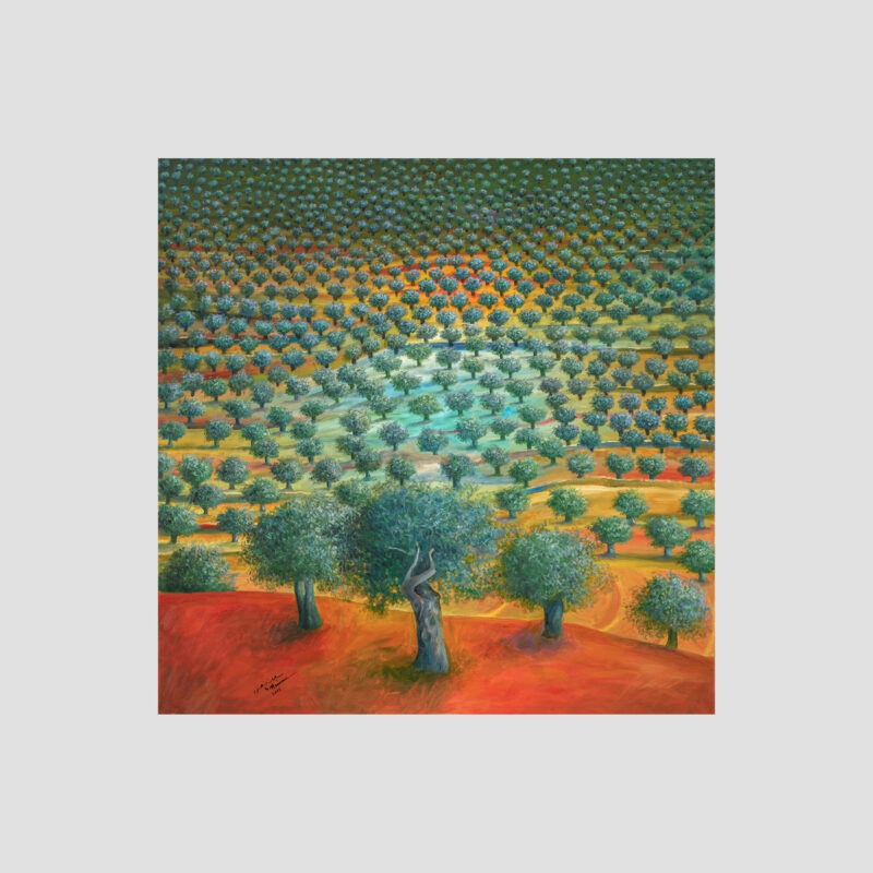 Olive Tree Grove - SM