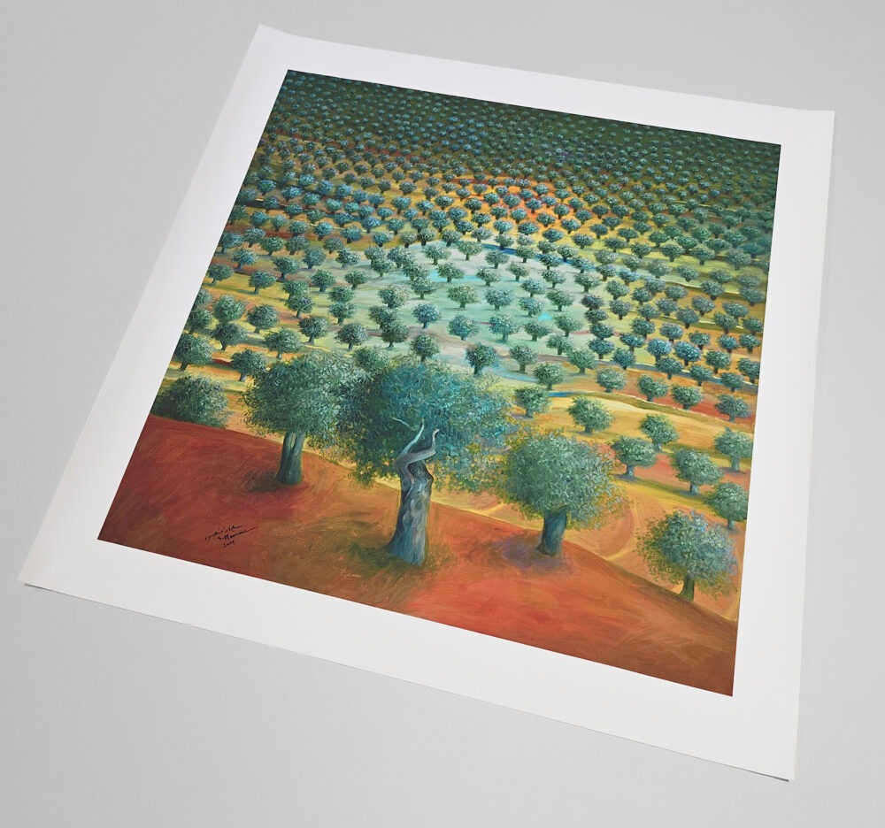 olive grove tree by sm