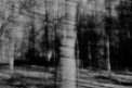 Rhythm 3 - Palestine Photographs