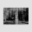 Rhythm 3 - Palestine Photographs