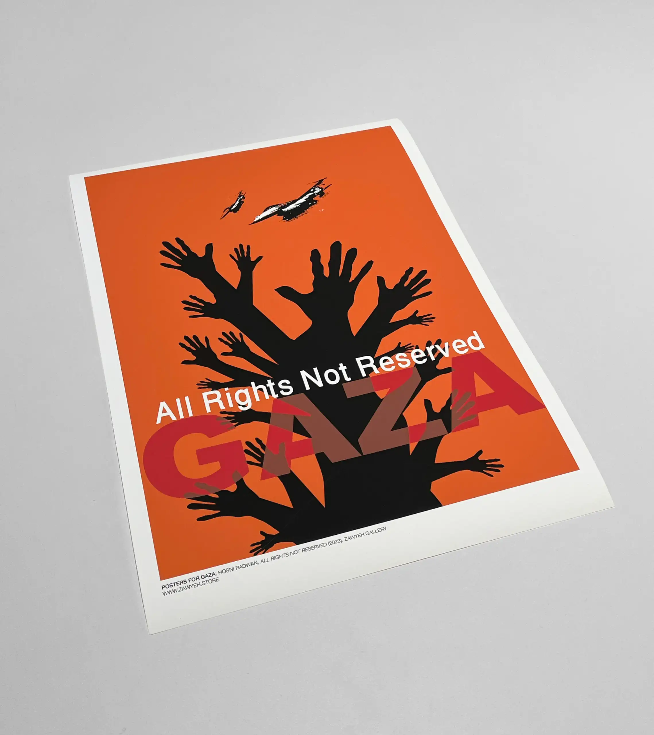 All Rights Not Reserved by Hosni Radwan unframed