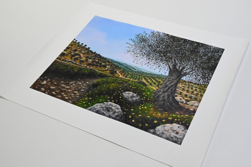 Olive Tree Field from Ramallah (2024) by Salah Al-Froukh – Canvas Art Print