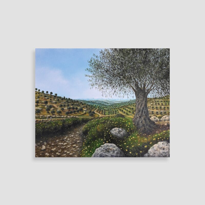 Olive Tree Field from Ramallah (2024) by Salah Al-Froukh – Canvas Art Print