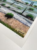 Nudes and Landscape by Nabil Anani - Limited Edition Print