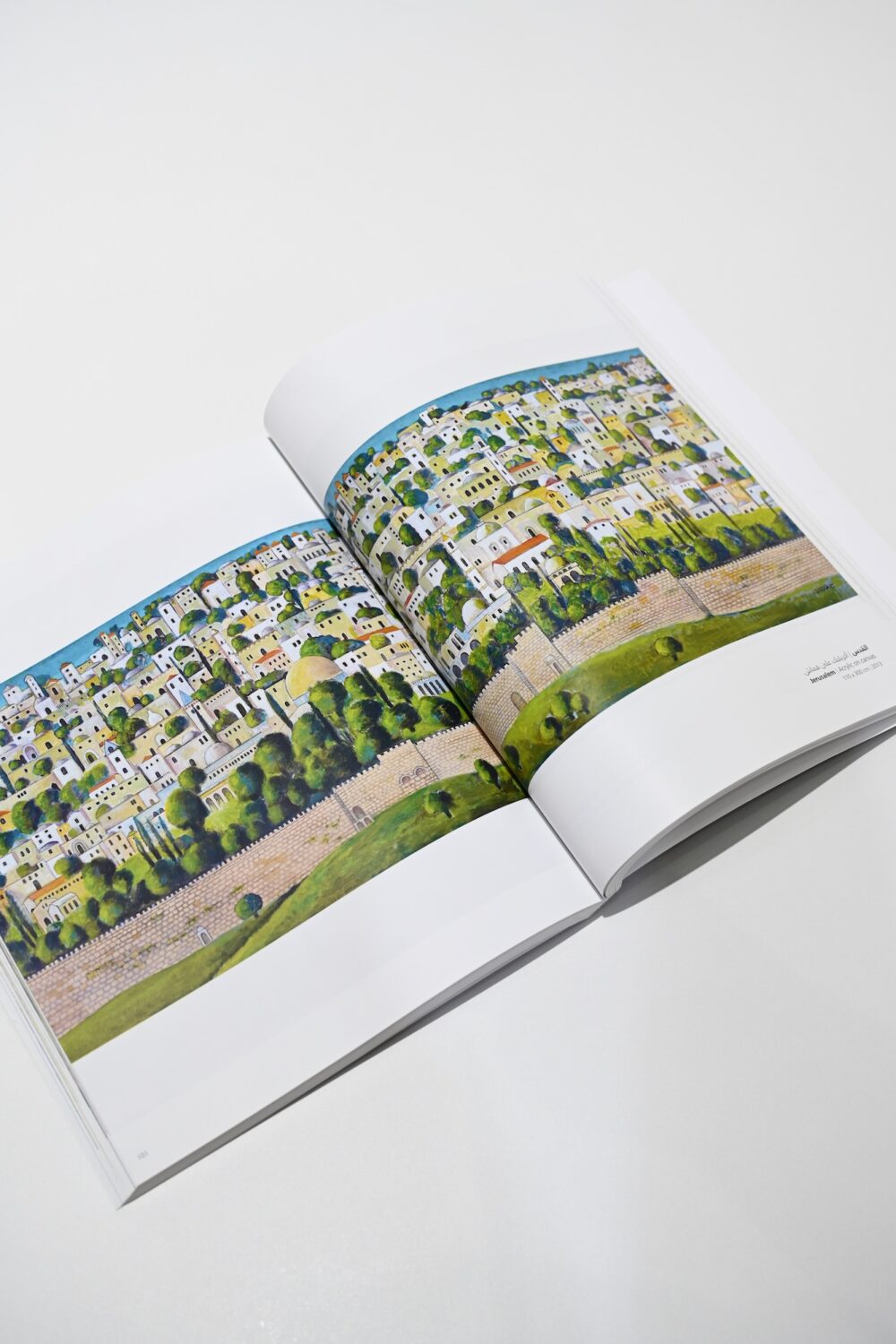 The Land and I by Nabil Anani - Books