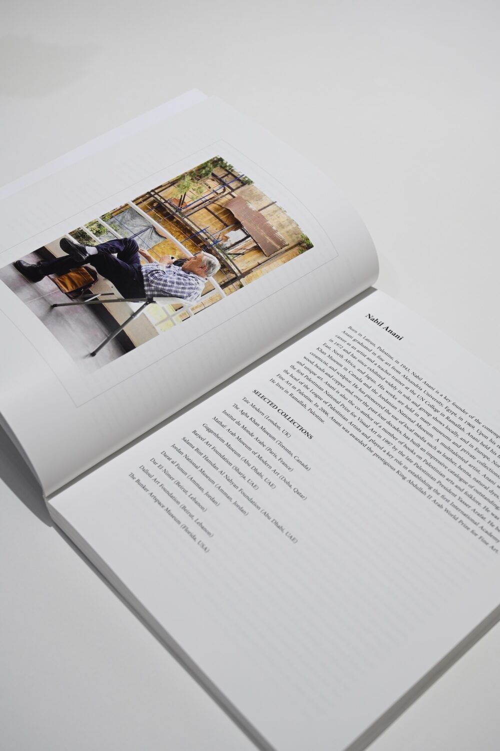 The Land and I by Nabil Anani - Books