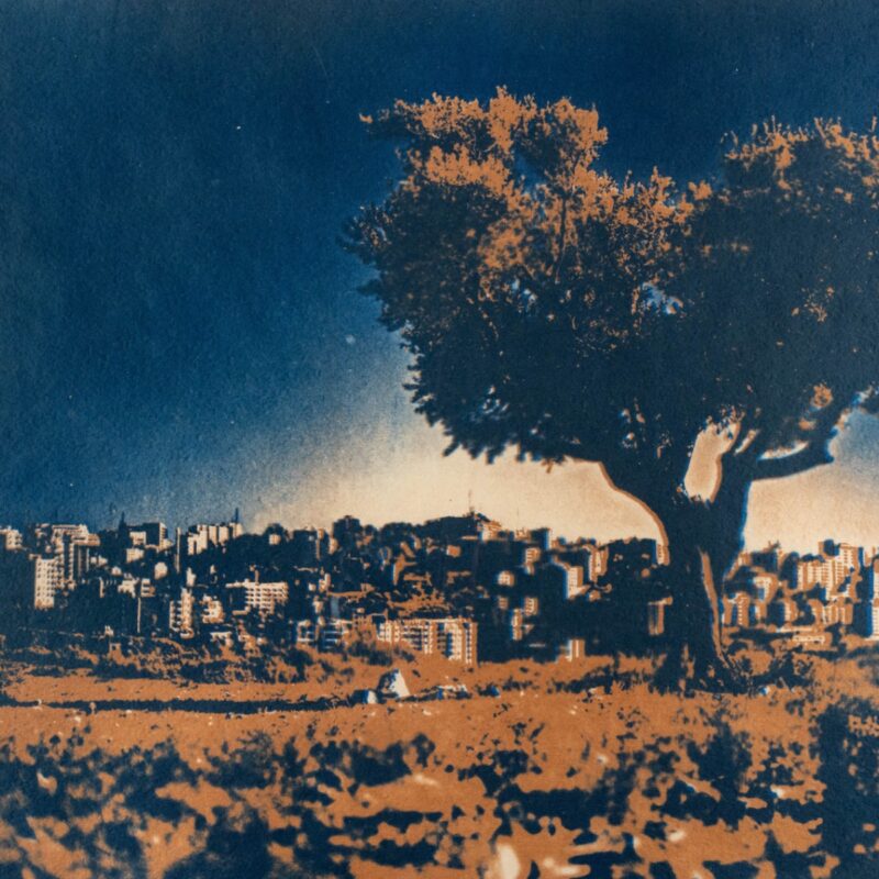 Olive Red No. 2 by Sari Tarazi - Photography