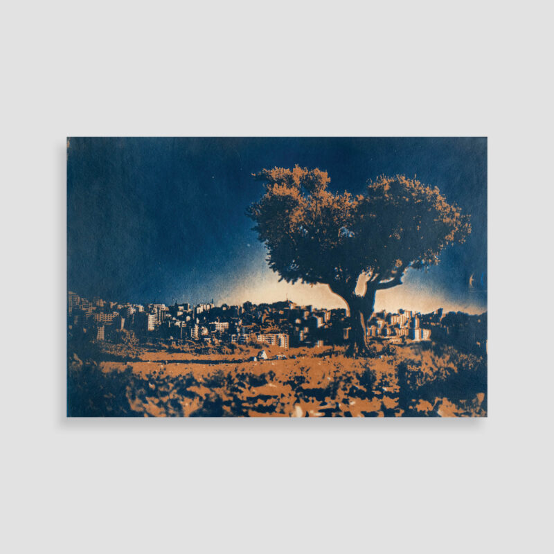 Olive Red No. 2 by Sari Tarazi - Photography